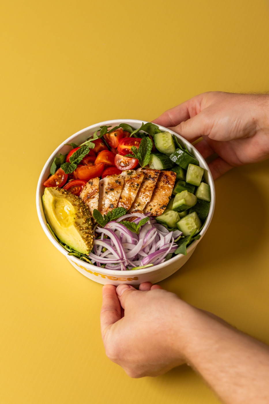 A loaded salad bowl held with two hands
